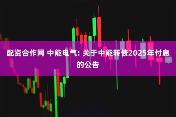 配资合作网 中能电气: 关于中能转债2025年付息的公告