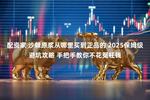 配资家 沙棘原浆从哪里买到正品的 2025保姆级避坑攻略 手把手教你不花冤枉钱