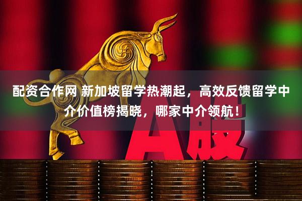 配资合作网 新加坡留学热潮起，高效反馈留学中介价值榜揭晓，哪家中介领航！