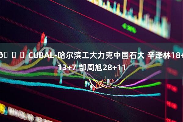 🏀CUBAL-哈尔滨工大力克中国石大 辛泽林18+13+7 郜周旭28+11