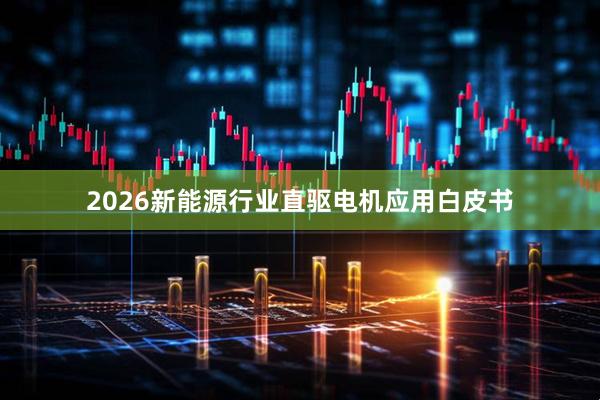 2026新能源行业直驱电机应用白皮书
